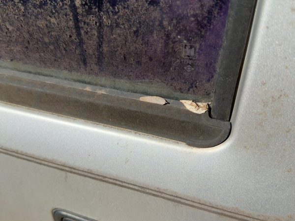 1988-1995 Isuzu Pup Driver Left Front Belt Moulding From Door Oem — photo 2