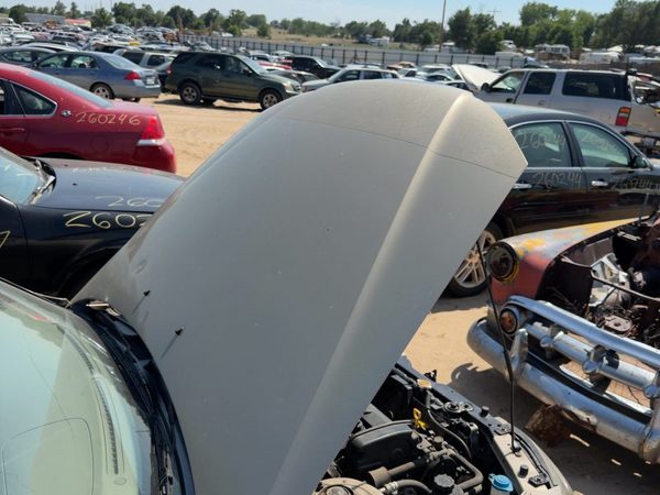 2002 Hyundai Elantra Hood Prime Beige Ko — photo 2