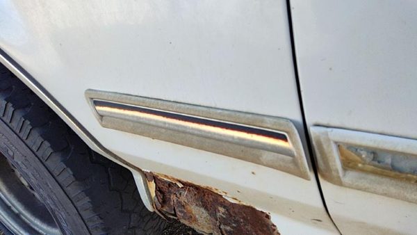 1992-1996 Ford F150 Driver Left Moulding From Fender Oem Trim Strip — photo 2