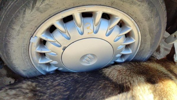 1997-1999 Park Ave Ultra 16' Aluminum Wheel Oem Factory 17 Spoke Rim #3 09592339 — photo 3