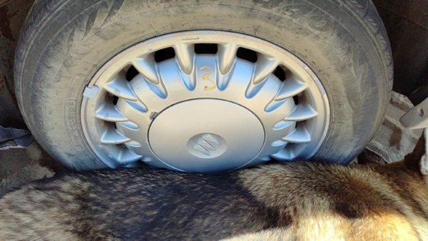 1997-1999 Park Ave Ultra 16' Aluminum Wheel Oem Factory 17 Spoke Rim #3 09592339 — photo 2