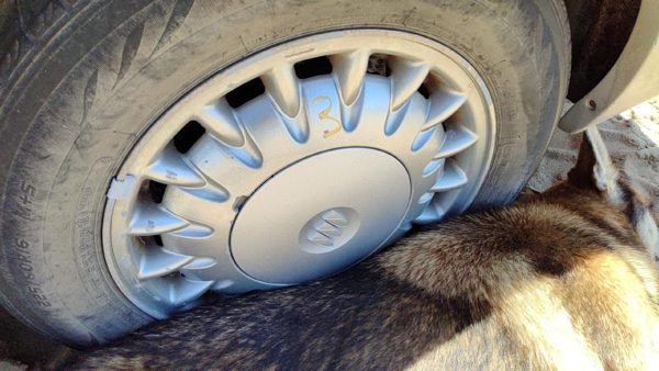 1997-1999 Park Ave Ultra 16' Aluminum Wheel Oem Factory 17 Spoke Rim #3 09592339 — photo 5