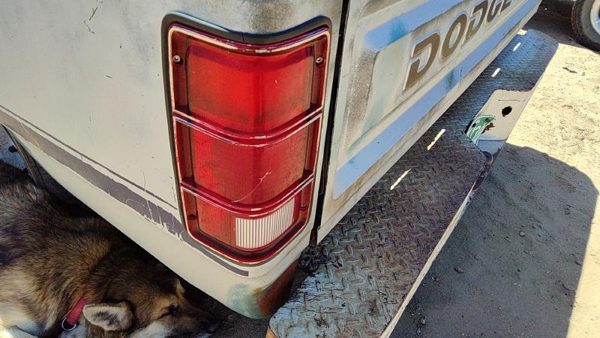 1981-1993 Dodge Ram W150 Driver Left Tail Light Brake Lamp Oem Rear 4163151 — photo 4