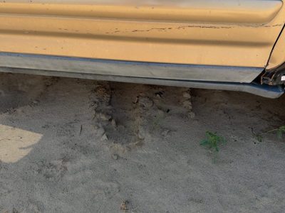 2002-2006 Honda Crv Passenger Right Front Moulding From Door Oem Lower