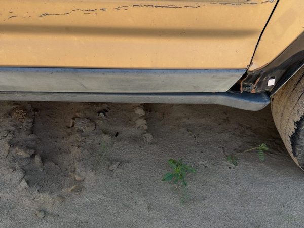 2002-2006 Honda Crv Passenger Right Front Moulding From Door Oem Lower — photo 3