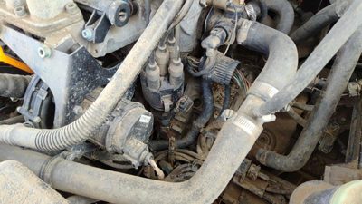 1997-2002 Vw Cabrio Convertible Ignition Distributor Oem 2.0L 037905205T