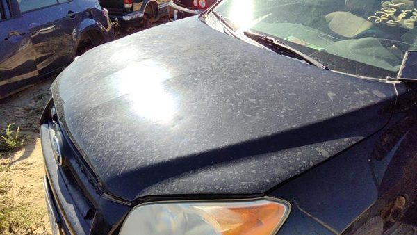 2011 Toyota RAV4 Hood 202 Black Hail — photo 2
