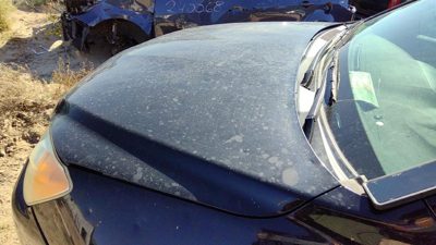 2011 Toyota RAV4 Hood 202 Black Hail