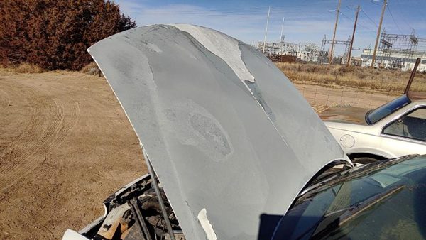 1998 Buick Century Hood White — photo 1
