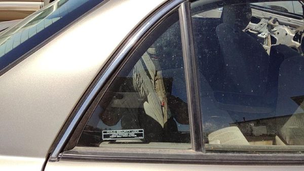 97-04 Century Passenger Right Rear Vent Window Back Door Glass With Frame Oem — photo 2