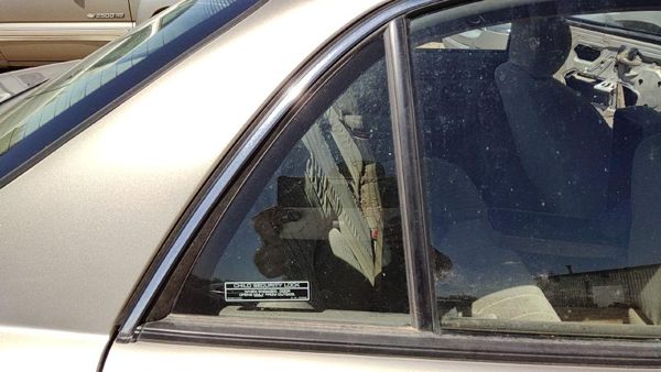 97-04 Century Passenger Right Rear Vent Window Back Door Glass With Frame Oem — photo 1