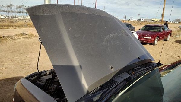 2004 Nissan Xterra Hood Granite KY2 F51007Z830 — photo 3