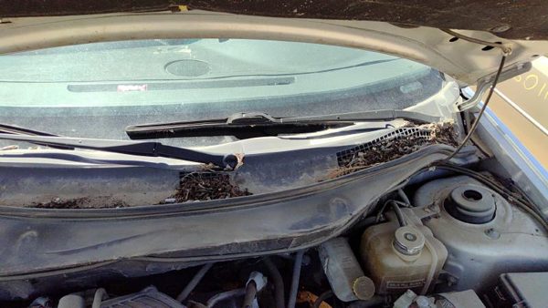 04-08 Chrysler Pacifica Windshield Wiper Cowl Vent Trim Panel Oem Cover — photo 4