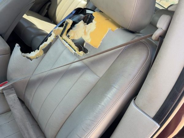 04-09 Dodge Durango Driver Left Front Seat Belt Retractor Oem Shoulder Gray Hjj1 — photo 3