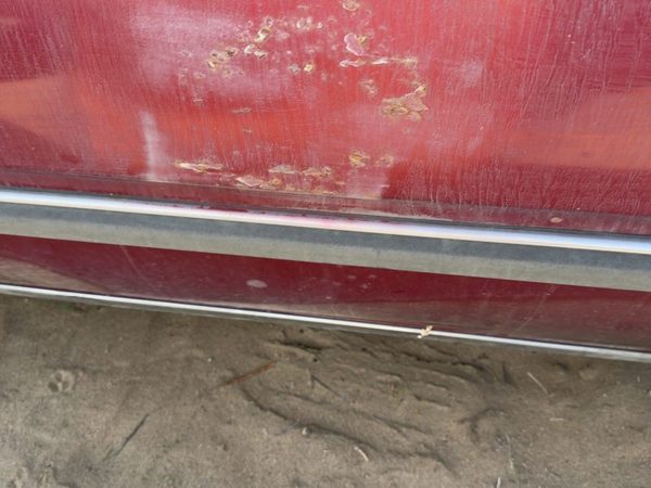1986-1989 Olds 88 Driver Left Front Moulding From Door Oem Trim Strip — photo 2