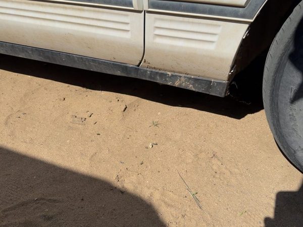 1994 Lincoln Town Car Passenger Right Lower Rocker Panel Moulding Side Skirt Oem — photo 2