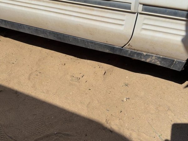 1994 Lincoln Town Car Passenger Right Lower Rocker Panel Moulding Side Skirt Oem — photo 4