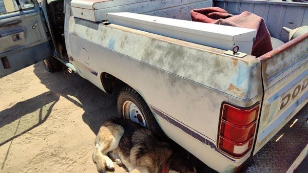1986 Dodge Ram Pickup Box/bed Assembly — photo 5