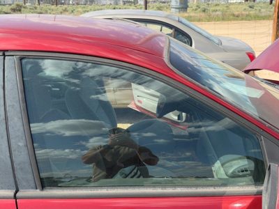 1996-2007 Ford Taurus Passenger Right Front Side Window Door Glass Oem