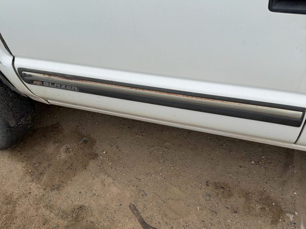 1998-2001 Chevy S10 Blazer Driver Left Front Moulding From Door Oem Trim Strip — photo 1