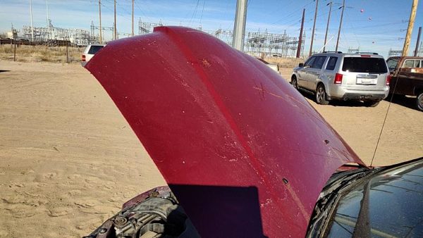2004 Mitsubishi Outlander Hood Red — photo 2