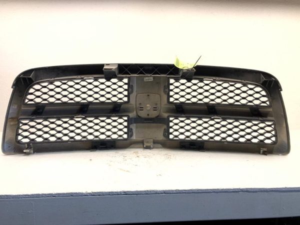 2012 Dpu15 Grille Cracked Lite Pitting — photo 4