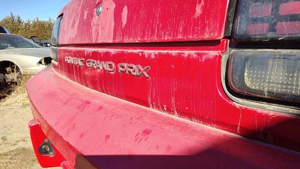 1988-1996 Grand Prix Rear Tail Panel Oem Trim Moulding Strip Red 2 Door 10102989 — photo 5