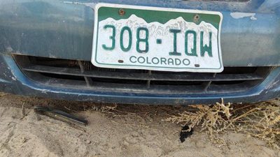 2006 Hyundai Sonata Grille Blue 865613K000