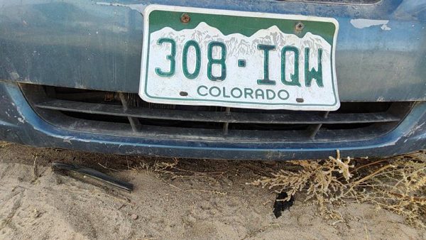 2006 Hyundai Sonata Grille Blue 865613K000 — photo 1