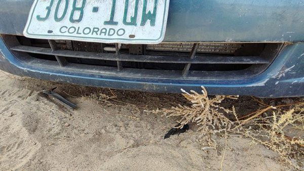 2006 Hyundai Sonata Grille Blue 865613K000 — photo 3