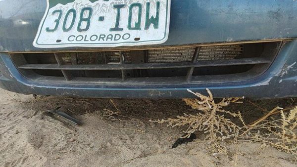 2006 Hyundai Sonata Grille Blue 865613K000 — photo 4
