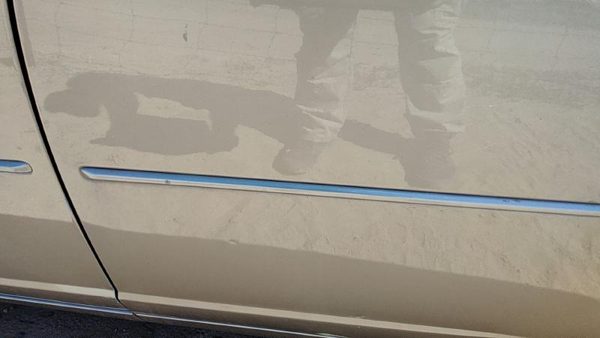 03-07 Cts Driver Left Rear Moulding From Door Oem Back Trim Strip Sand Storm 61U — photo 5