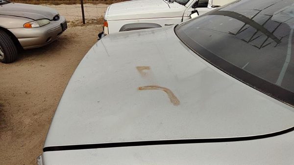 2005 Toyota Camry Trunk/decklid/hatch/tailgate 1C8 Lunar Mist Metallic Hail — photo 5