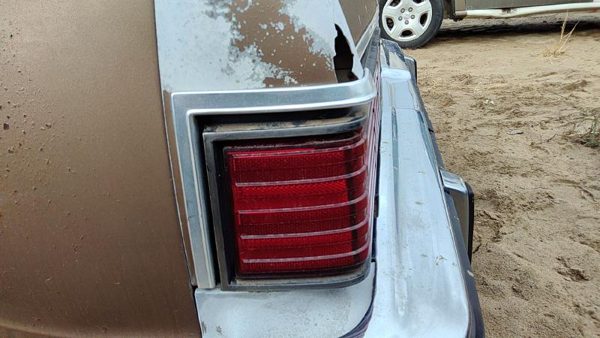 1981 Chevrolet Malibu Quarter Panel Moulding LH Tan — photo 5