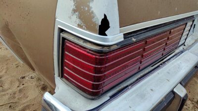 1981 Chevrolet Malibu Quarter Panel Moulding LH Tan