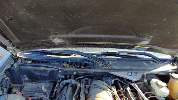 2005-2011 Cadillac Sts Windshield Wiper Cowl Vent Trim Panel Oem Cover — photo 2