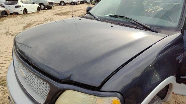 1999 Ford F-150 Hood Blue — photo 2