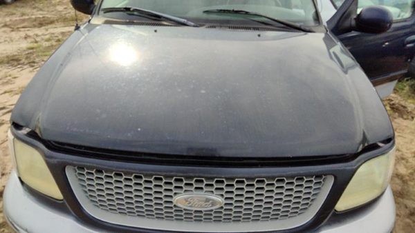 1999 Ford F-150 Hood Blue — photo 1
