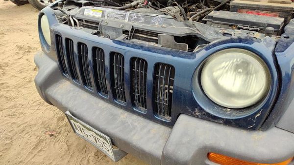 2002-2004 Jeep Liberty Front Grille Assembly Oem Blue Pb7 55156608Aa — photo 6