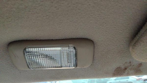 1995-2002 Cadillac Eldorado Driver Left Side Dome Light Oem Shale 155 — photo 1