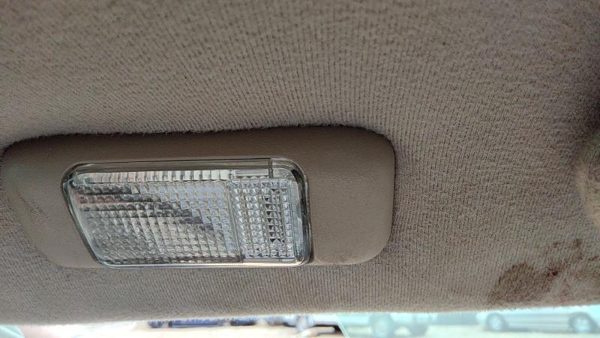 1995-2002 Cadillac Eldorado Driver Left Side Dome Light Oem Shale 155 — photo 3
