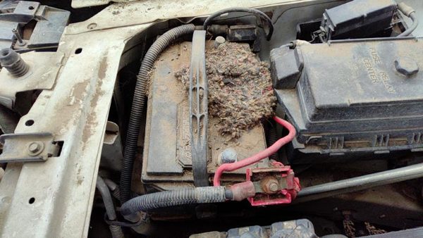 2000 Buick Park Avenue Battery Tray — photo 2