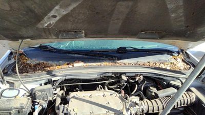 2001-2006 Acura Mdx Windshield Wiper Cowl Vent Trim Panel Oem Cover