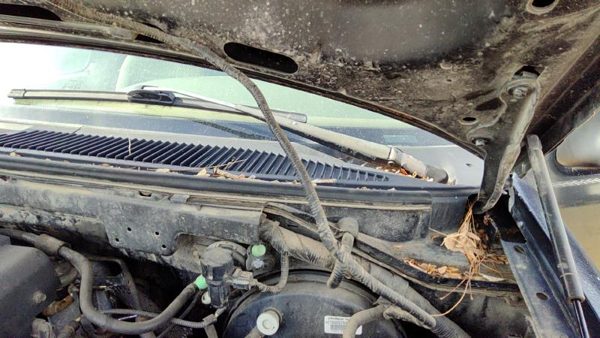 1997 Ford F-150 Wiper Arm F150 — photo 5