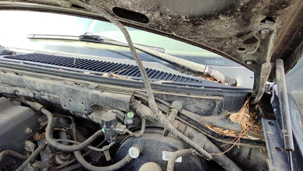 1997 Ford F-150 Wiper Arm F150 — photo 2
