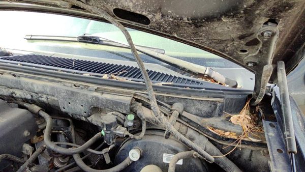 1997 Ford F-150 Wiper Arm F150 — photo 3