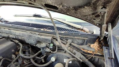 1997 Ford F-150 Wiper Arm F150
