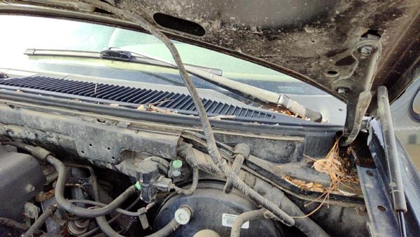 1997 Ford F-150 Wiper Arm F150 — photo 4