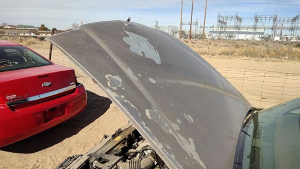 1992 Buick Park Avenue Hood Gold — photo 1
