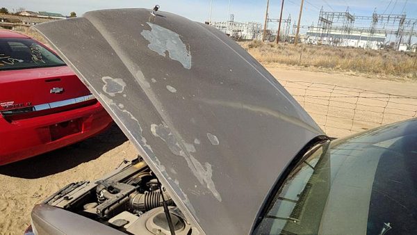 1992 Buick Park Avenue Hood Gold — photo 3